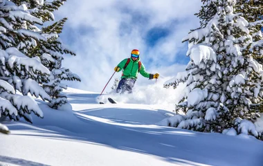 Ski