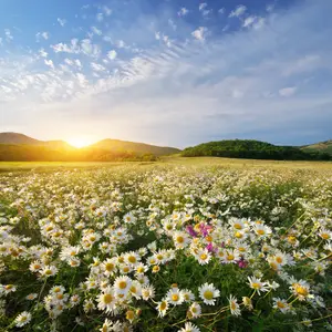 Où partir au printemps