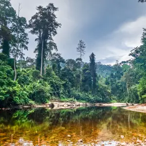 Les meilleures excursions en Malaisie