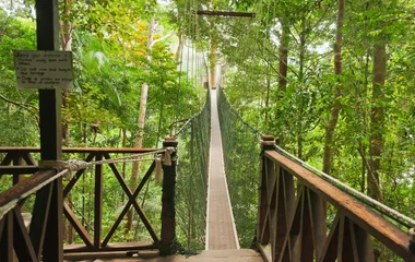 La nature malaisienne