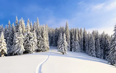 Montagne