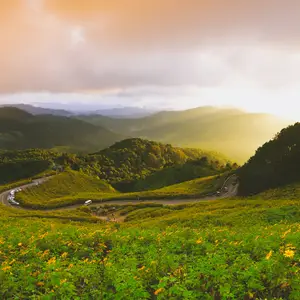 Où partir en Asie en novembre ?