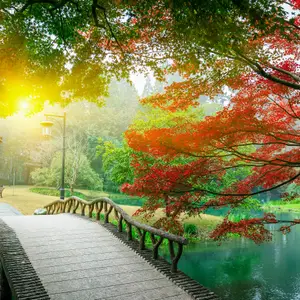 Jouer au golf en Chine