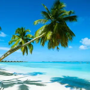 Que faire aux Bahamas