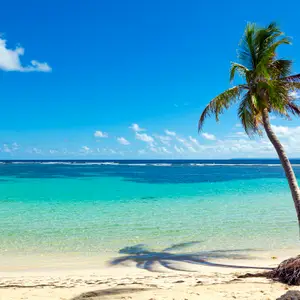 La culture en Guadeloupe