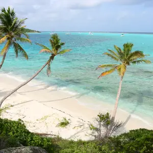 Les meilleurs spots de paddle en Martinique