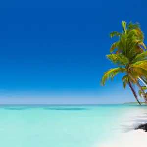 Quand partir aux Antilles ?