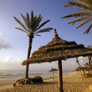 Quand partir à Djerba ?