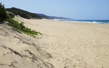 afrique du sud