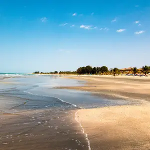 excursions au sénégal