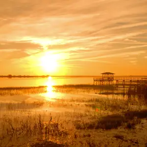 Que faire en Floride ?