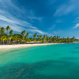 Le meilleur moment pour partir en Guadeloupe