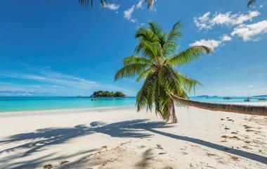 séjour de luxe all inclusive