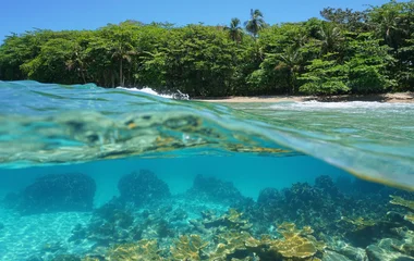 Tortuguero au Costa Rica