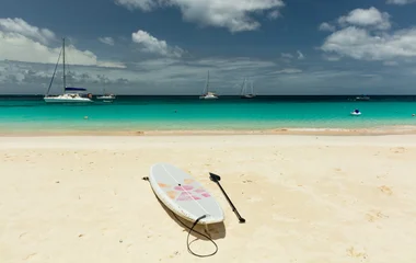 Sortie paddle en famille à l'Anse Michel