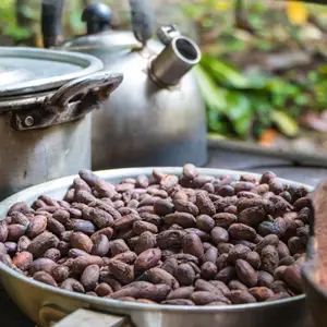 La gastronomie du Costa Rica