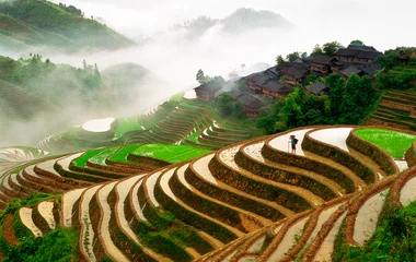 Les rizières en terrasse de Chine