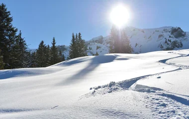 Paisagem de neve em dia de sol.