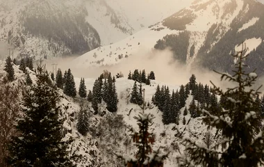 Europa invierno y verano