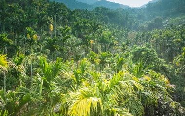 Club Med School y escuela de hotelería