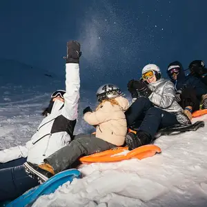 actividad noctura en familia