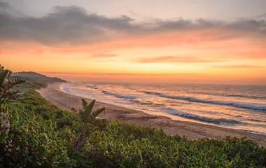 Club Med Tinley Manor escuela de surf