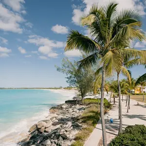 mar con playa y palmeras en Bahamas