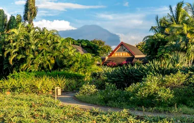 Las Villas d'Albion by Club Med