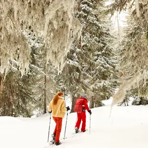 dos amigos en la montaña