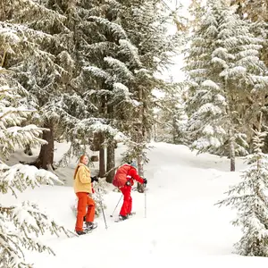 dos personas caminando por la montaña