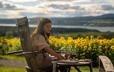 mulher sentada com vista para grama