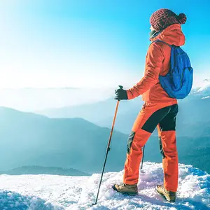 Pessoa com roupa de neve e bastões de caminhada.