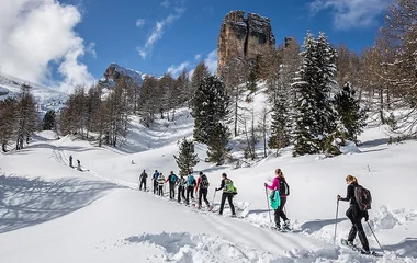 Grupo de pessoas em caminhada.