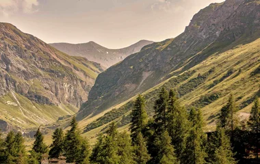 Paisagem de uma montanha no verão europeu
