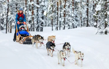 Mulher no treno sendo puxado por cães
