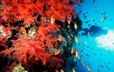 Turks & Caicos, Caribbean