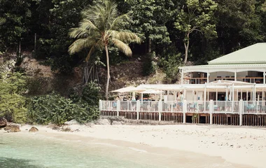 guadelouple plage palmier vacances resort