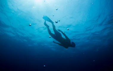 diving under water bahamas