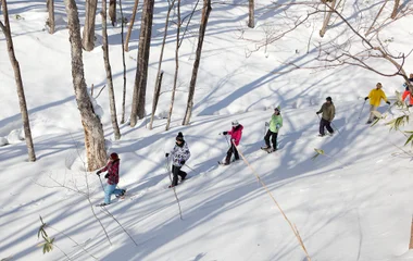 Snowshoeing