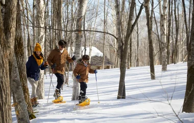 Snow Trekking