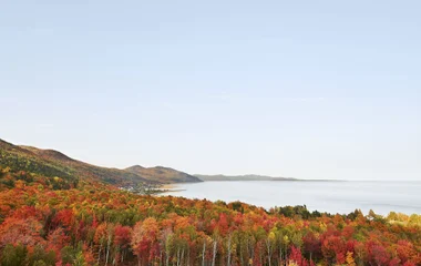 Canada foliage