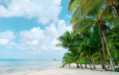 mexico beach playa cozumel