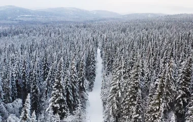montagne neige canada sapins