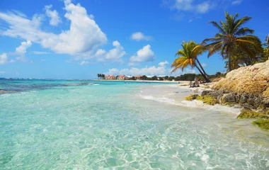 guadeloupe beach plage raisins clairs