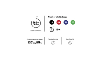 dominio-de-esqui-grand-massif
