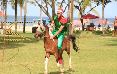 3 PM - Special activities for al