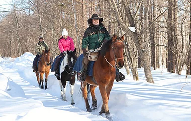 Discover the Zen winter