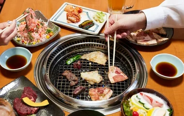 all included japanese mountain specialties