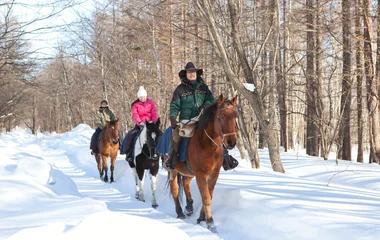 horse riding snow resort