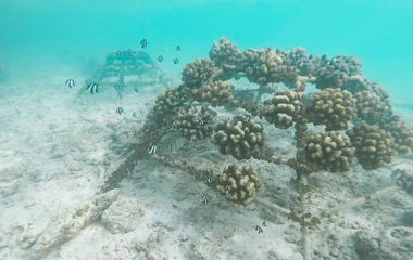 Club Med protects biodiversity